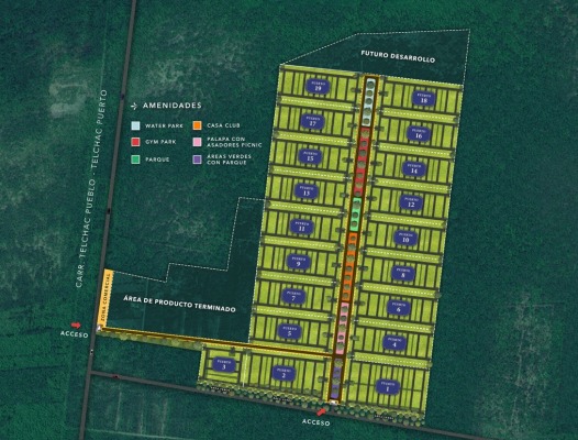 BACK_MASTERPLAN - 01.jpg